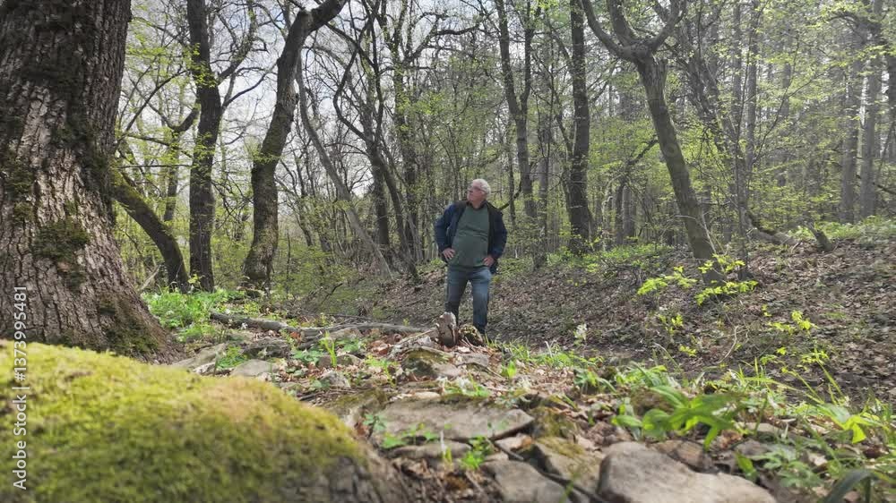 Older Nature lover stops to hear springtime birdsong on woodland walk Older Nature lover stops to hear springtime birdsong on woodland walk