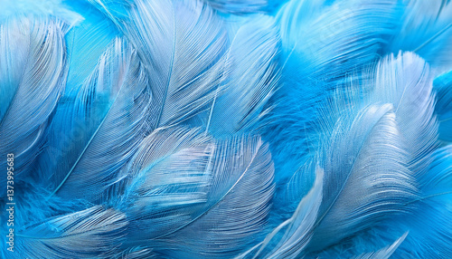 Background made of soft light blue feathers on studio wallpaper 