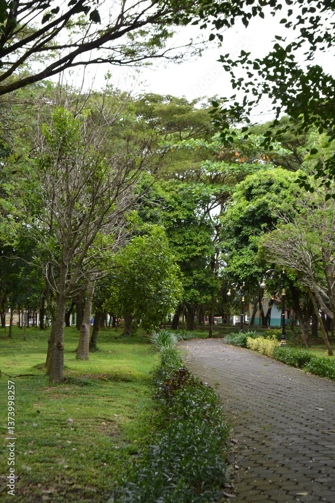 alley in the park alley in the park