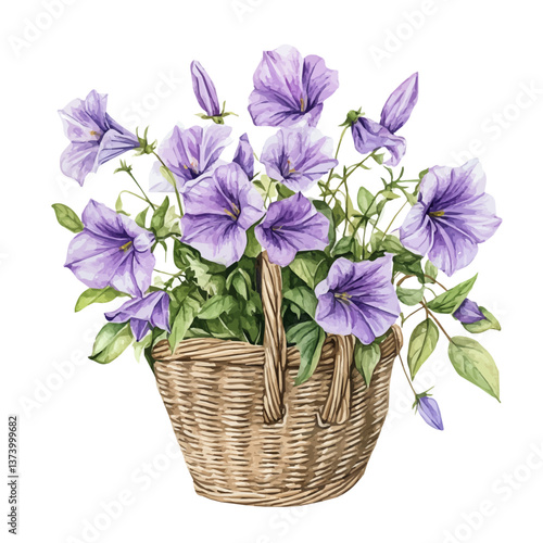 A watercolor vector of a bellflower bouquet in a basket, isolated on a white background. Bellflower bouquet vector.

