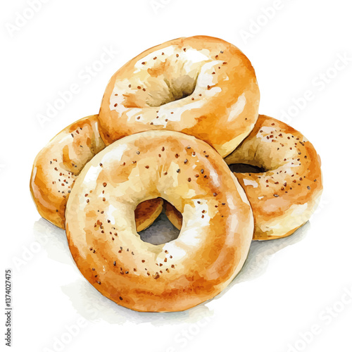 A watercolor vector of bagels, isolated on a white background. Bagels vector.

