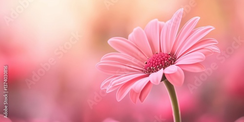 A stunning close-up of a delicate pink flower set against a soft, dreamy atmosphere filled with light.