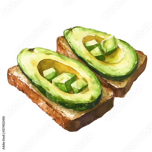 A watercolor vector of avocado toast, isolated on a white background. Avocado toast vector.

