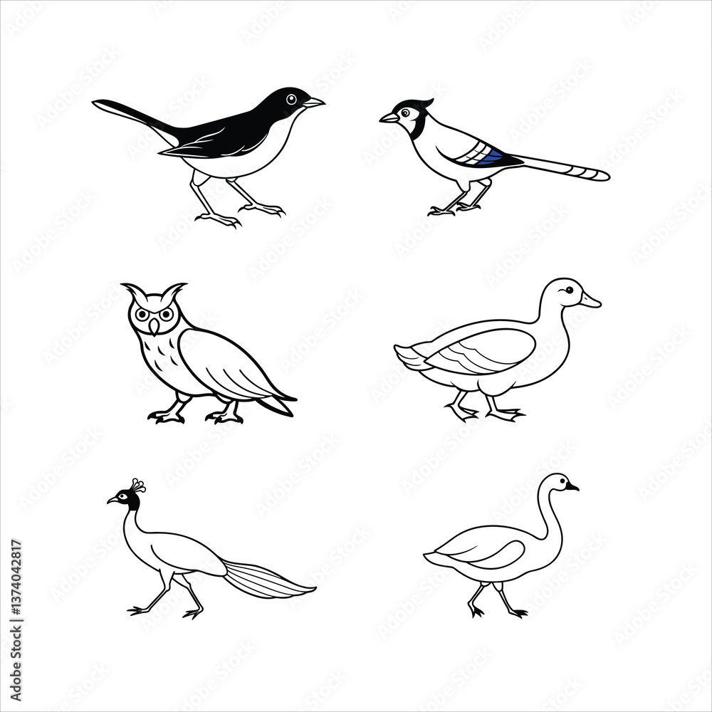 Fototapeta premium Set of American Robin, Blue Jay, Great Horned Owl, Mandarin Duck, Peacock, Swan Birds Line Art Vector Illustration on White Background