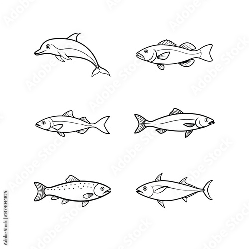 Set of Dolphin, Grouper, Halibut, Salmon, Trout, Tuna Game & Edible Fish Line Art Vector Illustration on white background