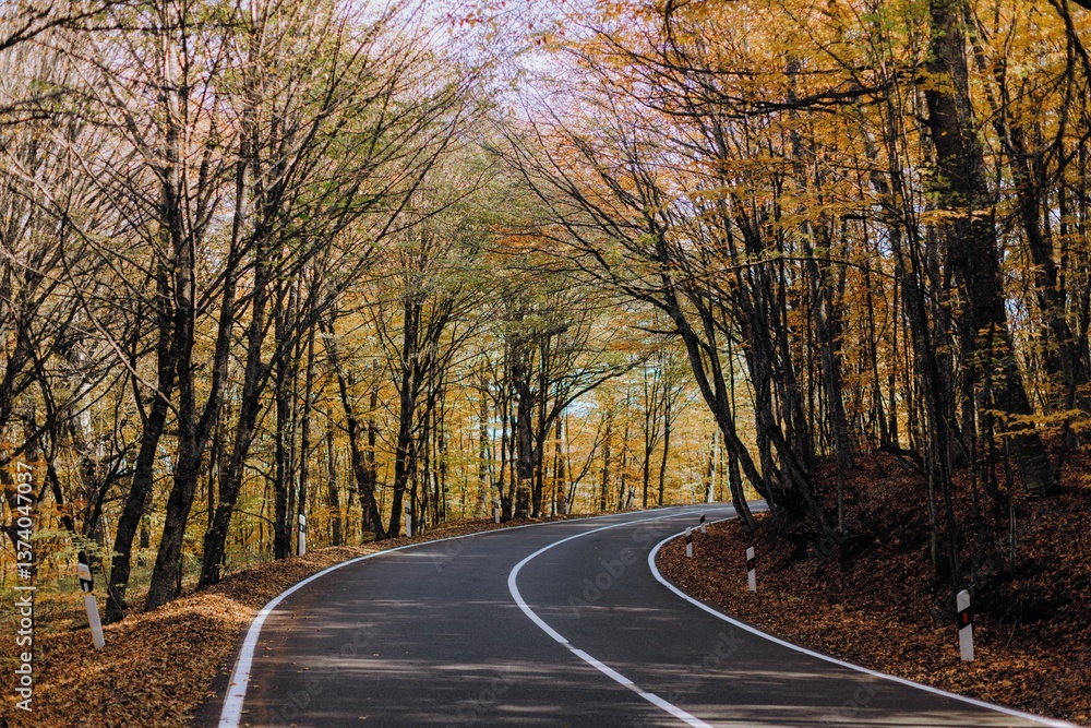 Fototapeta premium Winding road through a forest with autumn foliage and fallen leaves lining the path