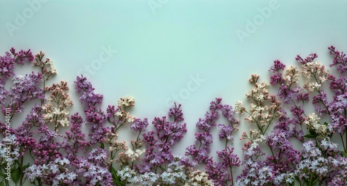 Beautiful Lilac Flowers Arranged Neatly on a Light Background for Floral Deco...