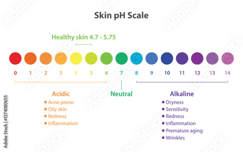 Infographic of skin pH scale vector illustration. The optimal pH value of healthy skin between 4.7 and 5.75. High pH is alkaline, dry, irritated and wrinkles. Low pH is acidic, acne prone, oily skin.