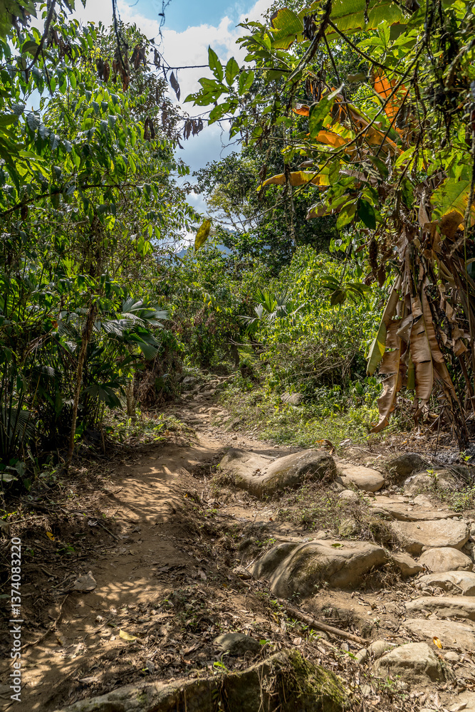 Obraz premium Sierra Nevada Colombia, Lost City Trek