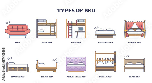 Types of bed diagram showing various bed styles like bunk, loft, and canopy, transparent background.
