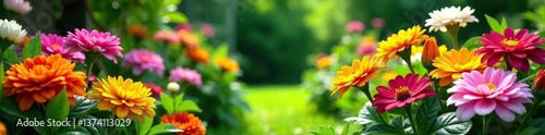 Lush garden bursting with vibrant colors of flowering annuals and perennials,  flowers,  colorful