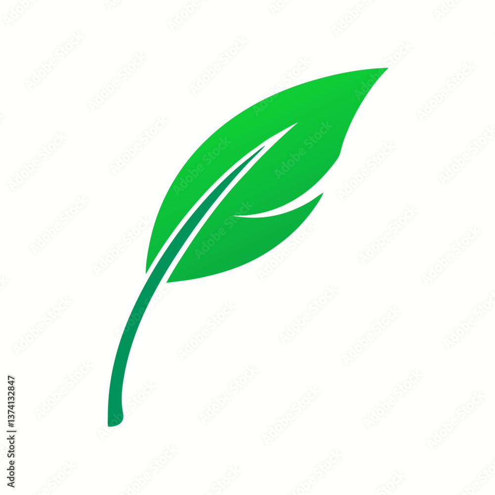 green leaf isolated on white green leaf isolated on white