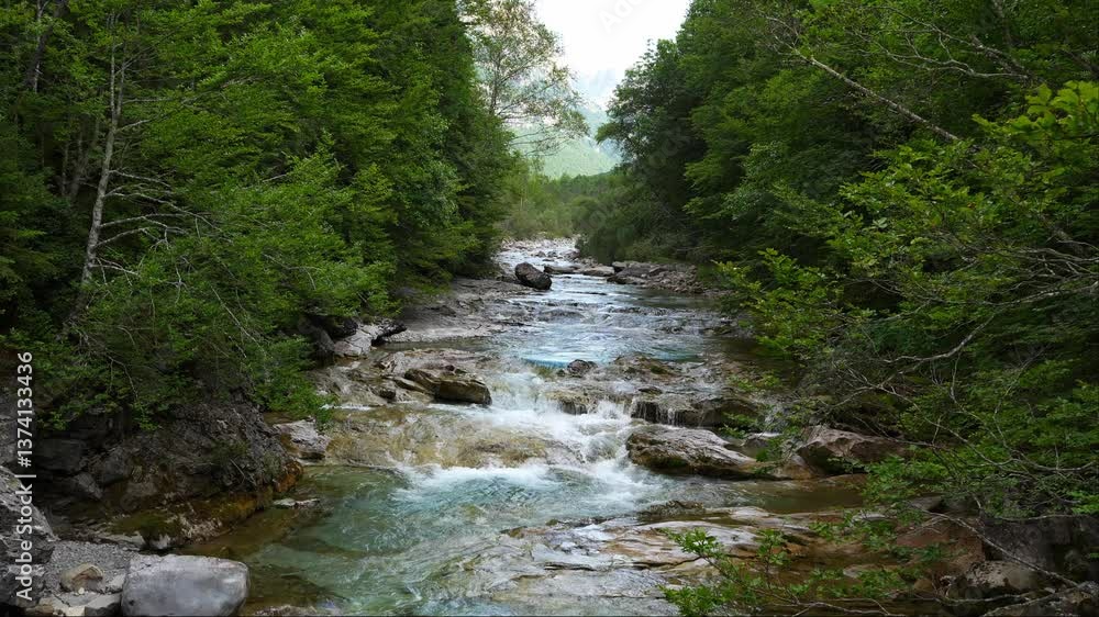 Mountain river flowing through forest Mountain river flowing through forest