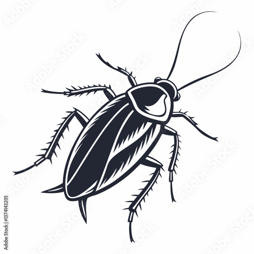 vector illustration of a cockroach