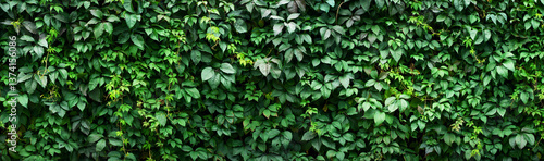 fresh leaves as background....