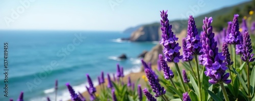 Vibrant purple sea lavender flowers growing along the coast with the ocean in the background,  purple,  serene