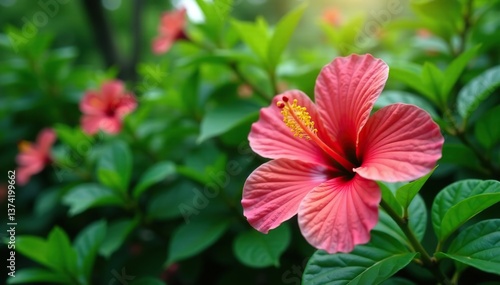 Wallpaper Mural Vibrant hibiscus flowers surrounded by lush green foliage in a tropical garden,  greenery,  foliage Torontodigital.ca