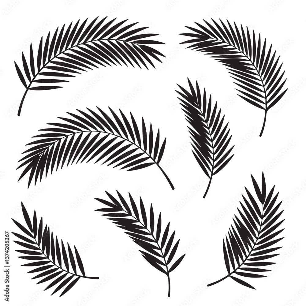 set of black vector various Palm Branches silhouettes set of black vector various Palm Branches silhouettes