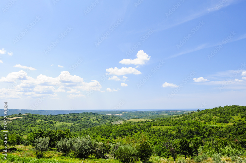 Istrien, Kroatien, Krasica Istrien, Kroatien, Krasica