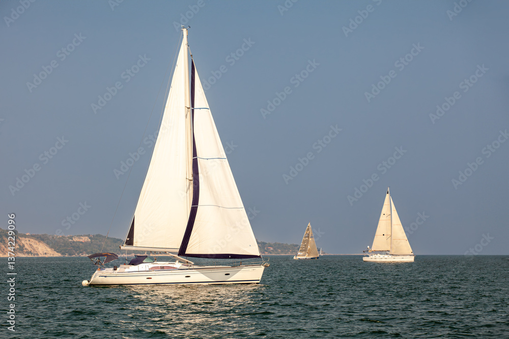 Sailboats with white sails glide across the sea under a clear blue sky. A peaceful maritime scene with calm waters and yachts. Sailboats with white sails glide across the sea under a clear blue sky. A peaceful maritime scene with calm waters and yachts.