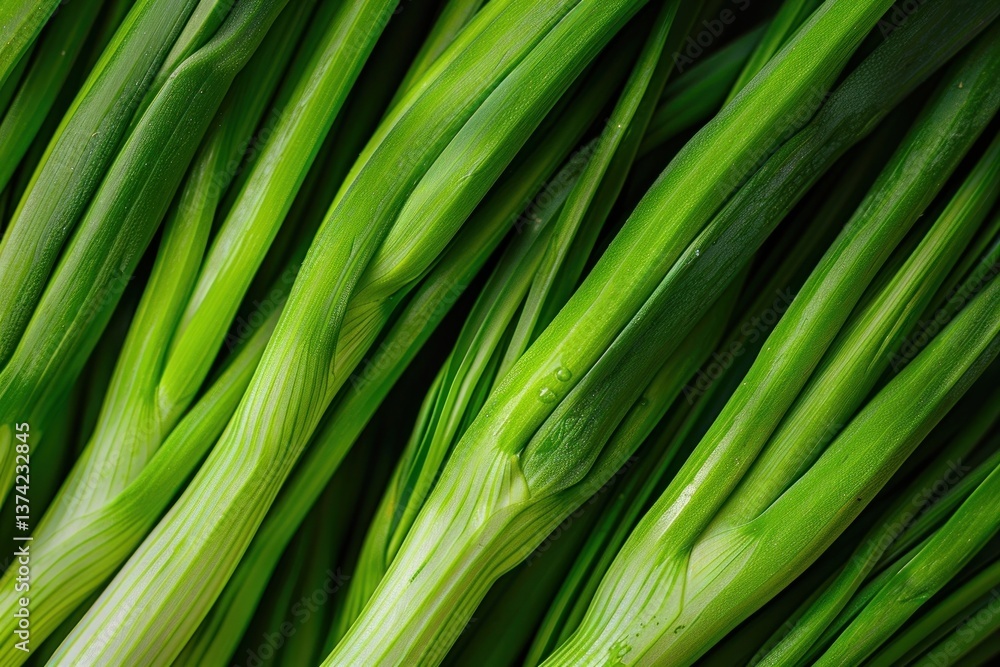 Fototapeta premium Spring onion vegetable produce plant.