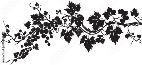 Elegant grapevine silhouette vector for decorative botanical designs and vintage themes.