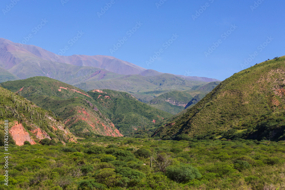 Naklejka premium Green hills