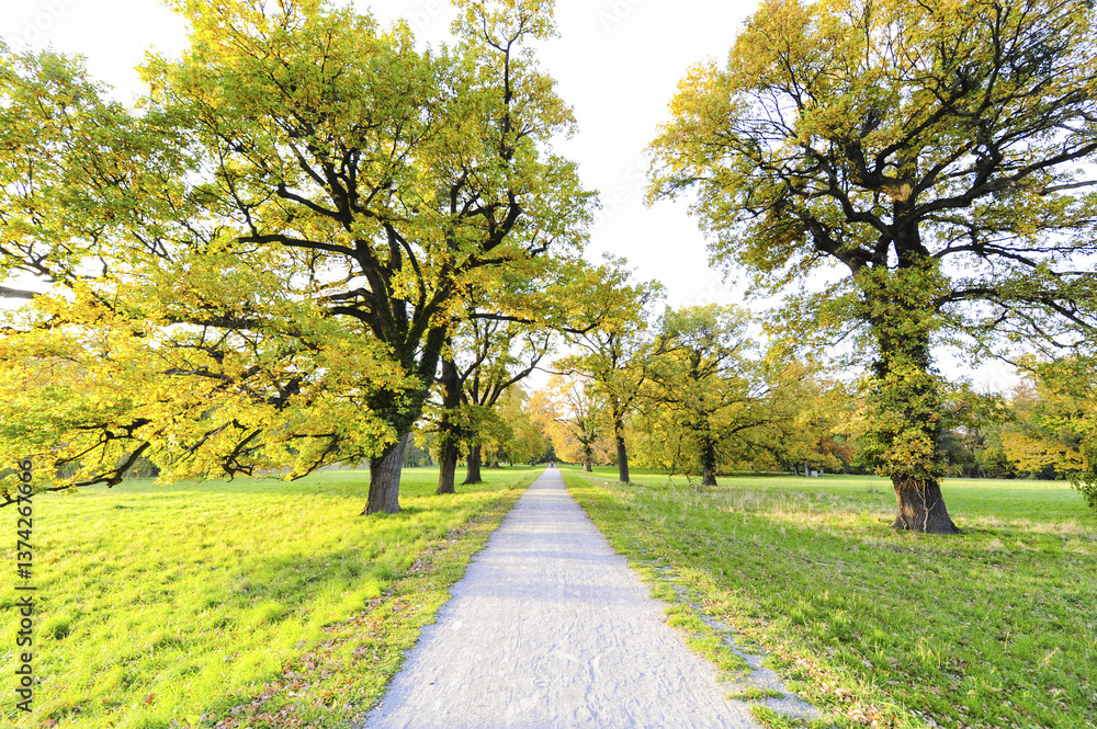 Fototapeta premium Landschaftsgarten Harrachpark im Herbst, Österreich, NIederöst