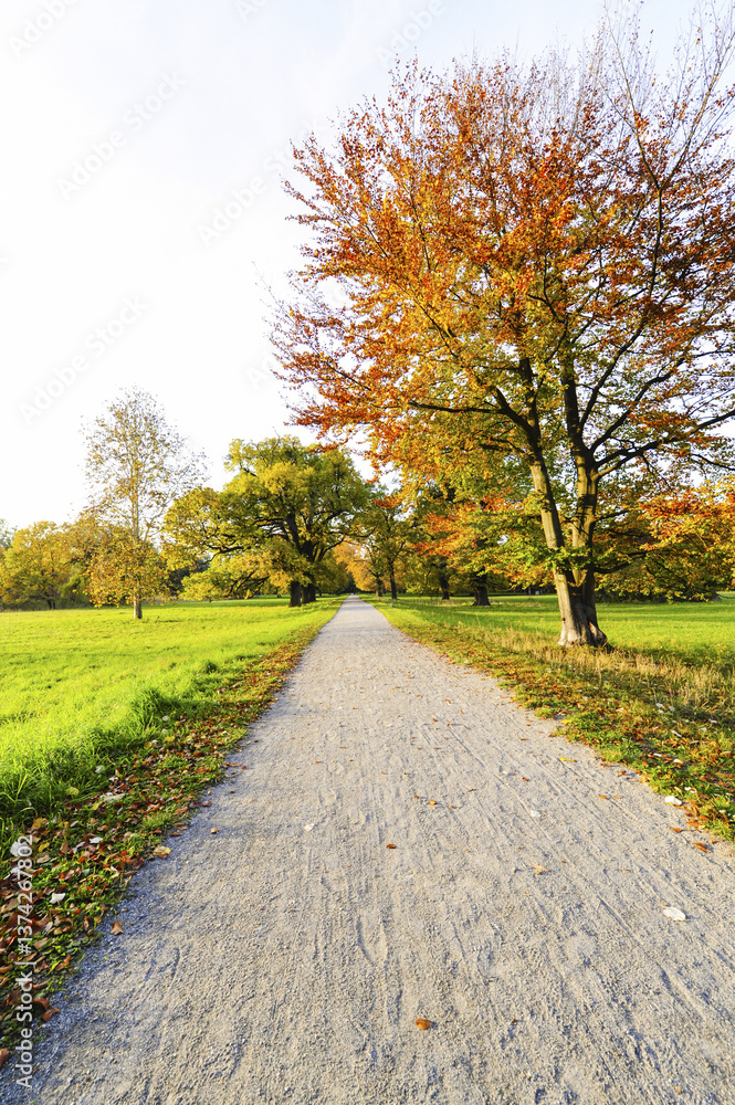 Naklejka premium Landschaftsgarten Harrachpark im Herbst, Österreich, NIederöst