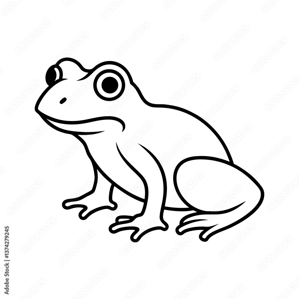 frog on white background frog on white background
