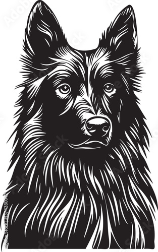 belgian groenendael shepherd dog portrait