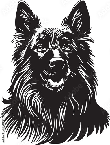 smilling belgian groenendael shepherd dog