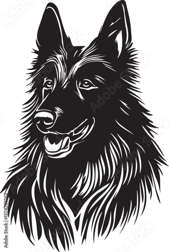 belgian groenendael shepherd vector illustration