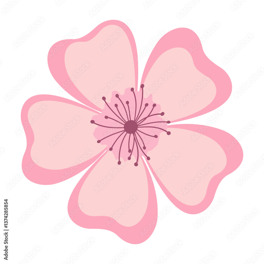Elegant Sakura Flower Illustrations Flat Pastel Color Elegant Sakura Flower Illustrations Flat Pastel Color