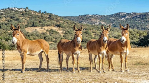 Group of four beautiful brown wild equines standing gracefully in a sunny rural landscape surrounded by hills and green vegetation, showcasing their impressive features