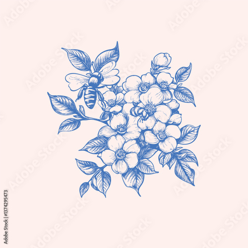 Rose flower vector illustration. Poster design