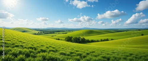  Pastoral Landscape of Lime Green Hills. Sunny Day, White Clouds, Gentle Breeze. A Peaceful and Invigorating View.