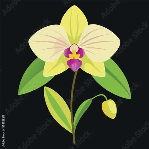 Print orchids orchidaceae flower vector
