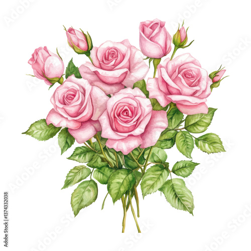 Elegant pink rose bouquet watercolor illustration for romantic floral designs and wedding-themed creative projects