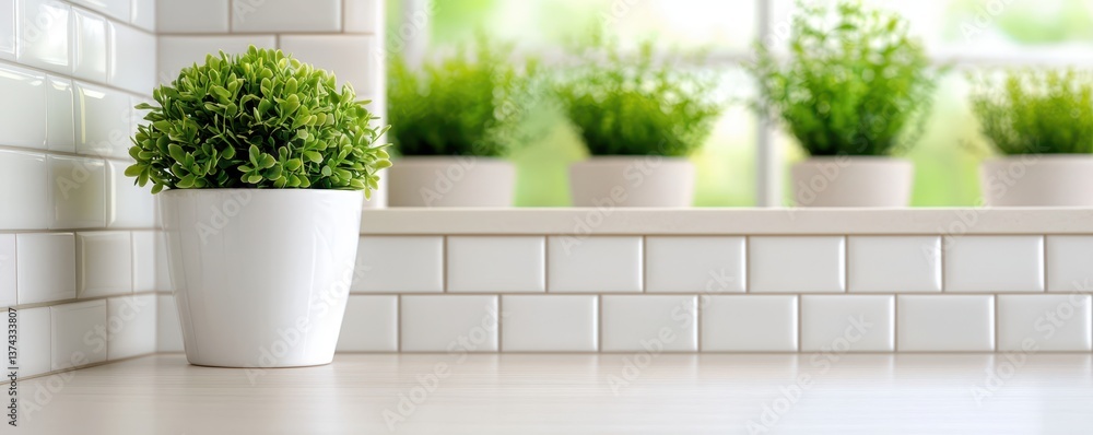 Decorative indoor plants home interior photography bright kitchen close-up green life inspiration Decorative indoor plants home interior photography bright kitchen close-up green life inspiration