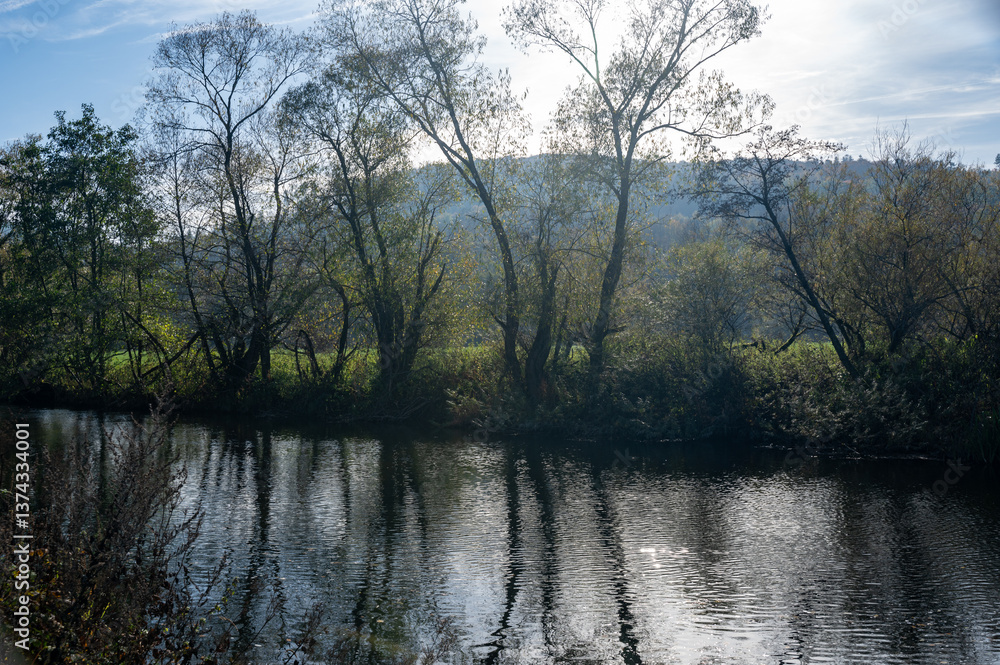 Fototapeta premium Trees on the bank of a river, with reflections in the water