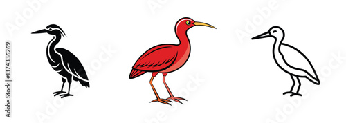 Scarlet Ibis, Heron, Egret Bird Illustrations Black, White, Red