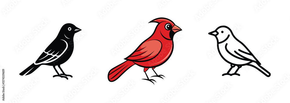 Fototapeta premium Three Bird Illustrations Cardinal, Blackbird, White Bird Silhouettes