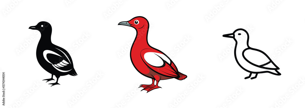 Obraz premium Redbreasted Goose Variations Black, Red, White Bird Illustrations