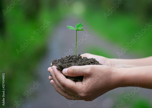 Two nurturing hands cradle soil and a vibrant green sprout against a blurred outdoor background. Perfect for themes of growth, environmental care, and Earth Day.