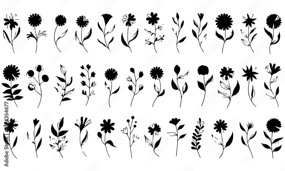 Obraz premium A black Beautiful vintage floral flowers silhouettes