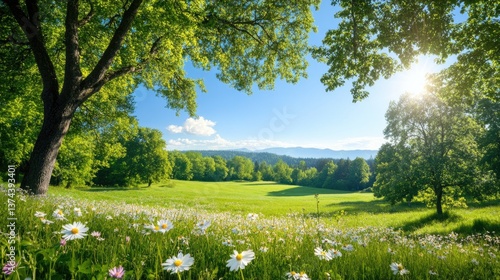 Wallpaper Mural Lush Green Meadow Under Bright Blue Sky with Sunlit Trees and Flowers Torontodigital.ca