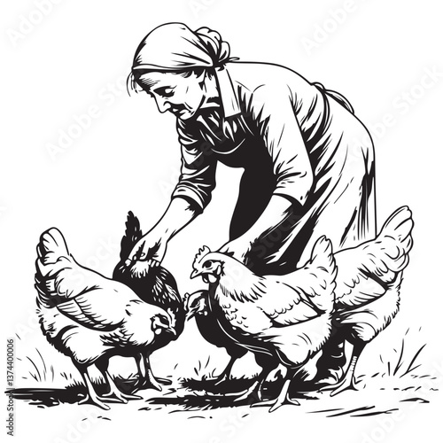 old woman feeding chickens sketch illustration