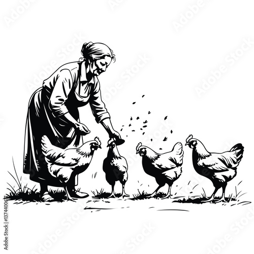 old woman feeding chickens sketch illustration