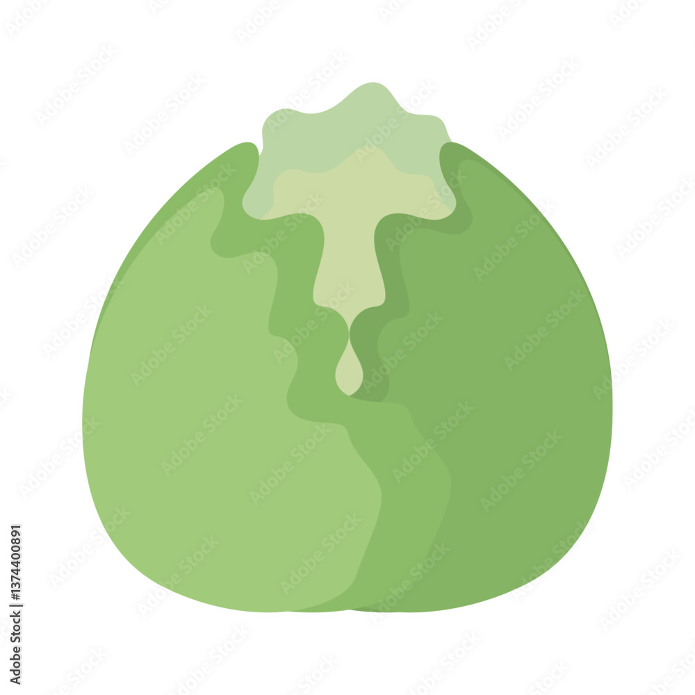 Illustration of a green cabbage head, representing a healthy vegetable, ingredient for cooking, vegan and vegetarian diets, fresh produce from the garden and farm Illustration of a green cabbage head, representing a healthy vegetable, ingredient for cooking, vegan and vegetarian diets, fresh produce from the garden and farm